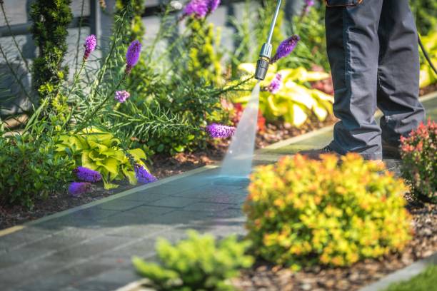 Best Pre-Holiday Cleaning  in Highland, NY