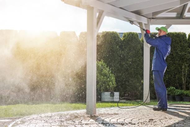 Best Solar Panel Cleaning  in Highland, NY